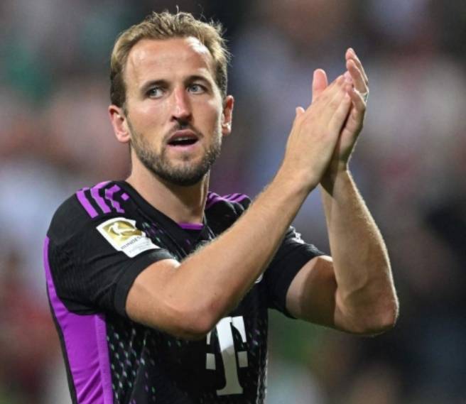 性上更具优 性上更具优